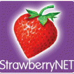 StrawberryNET – парфюмерия и косметика
